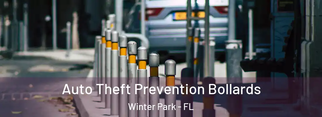 Auto Theft Prevention Bollards Winter Park - FL