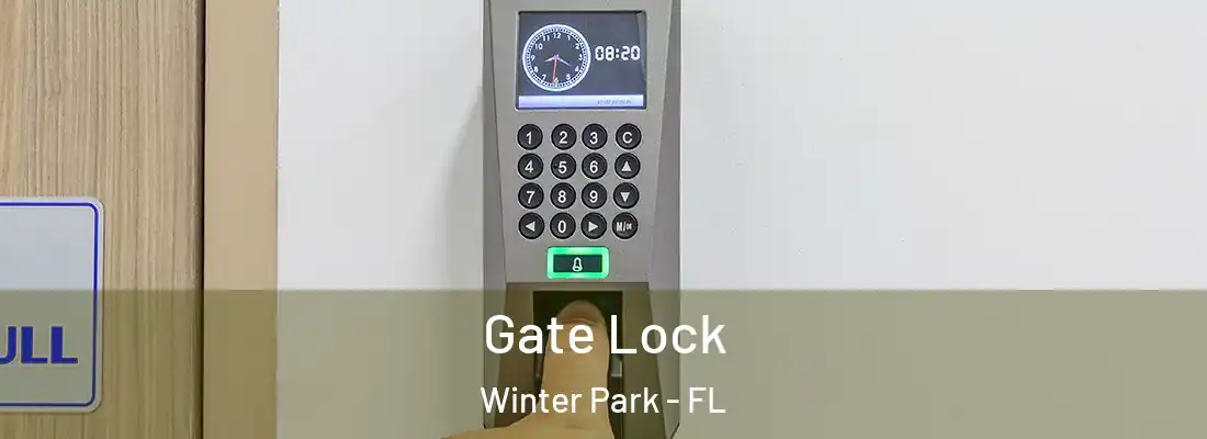 Gate Lock Winter Park - FL